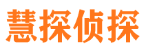 平山市调查公司